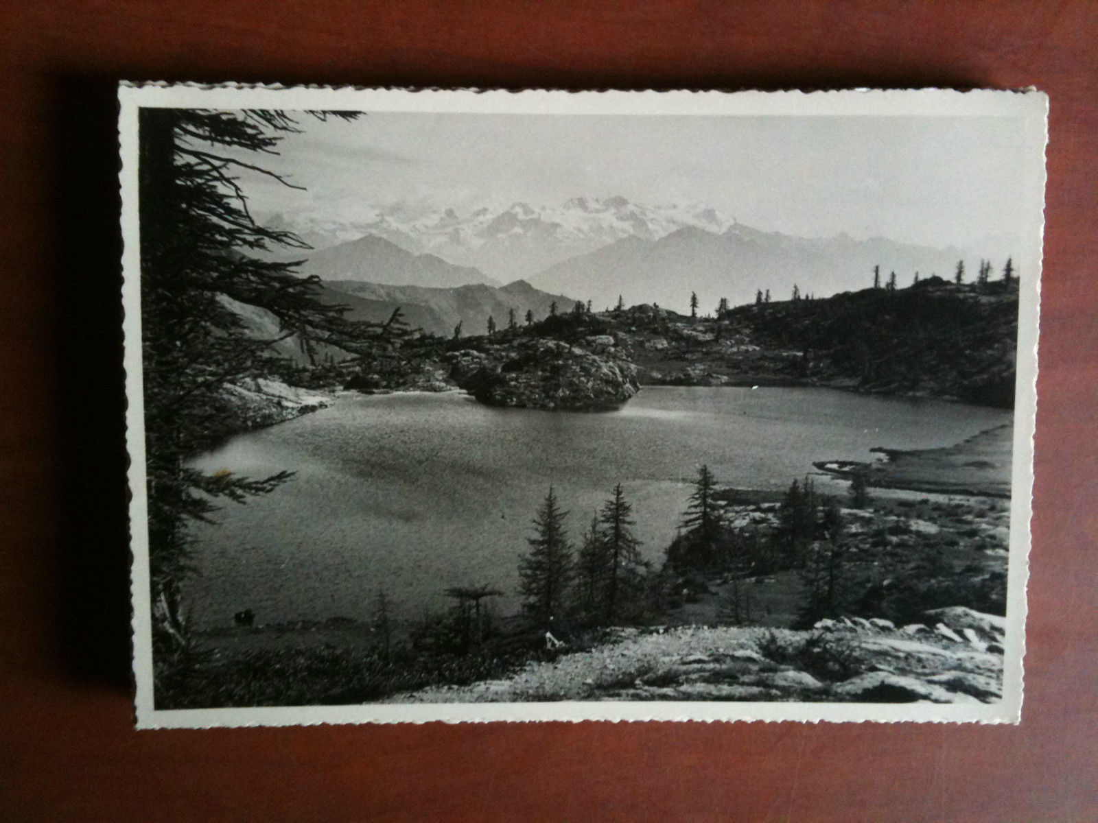 Cartolina fotografia vera anni '30 Panorama di Lago d'alta quota