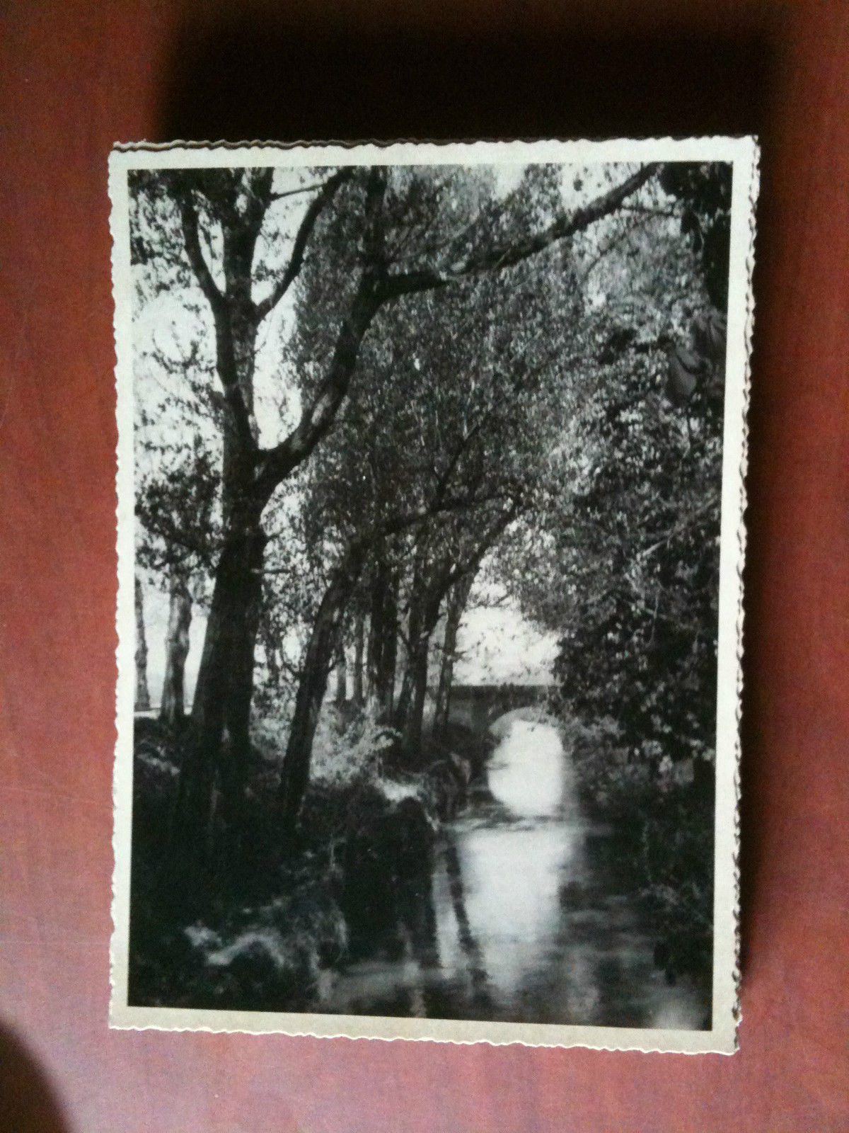 Cartolina fotografia vera anni '30 scorcio di fiume alberato
