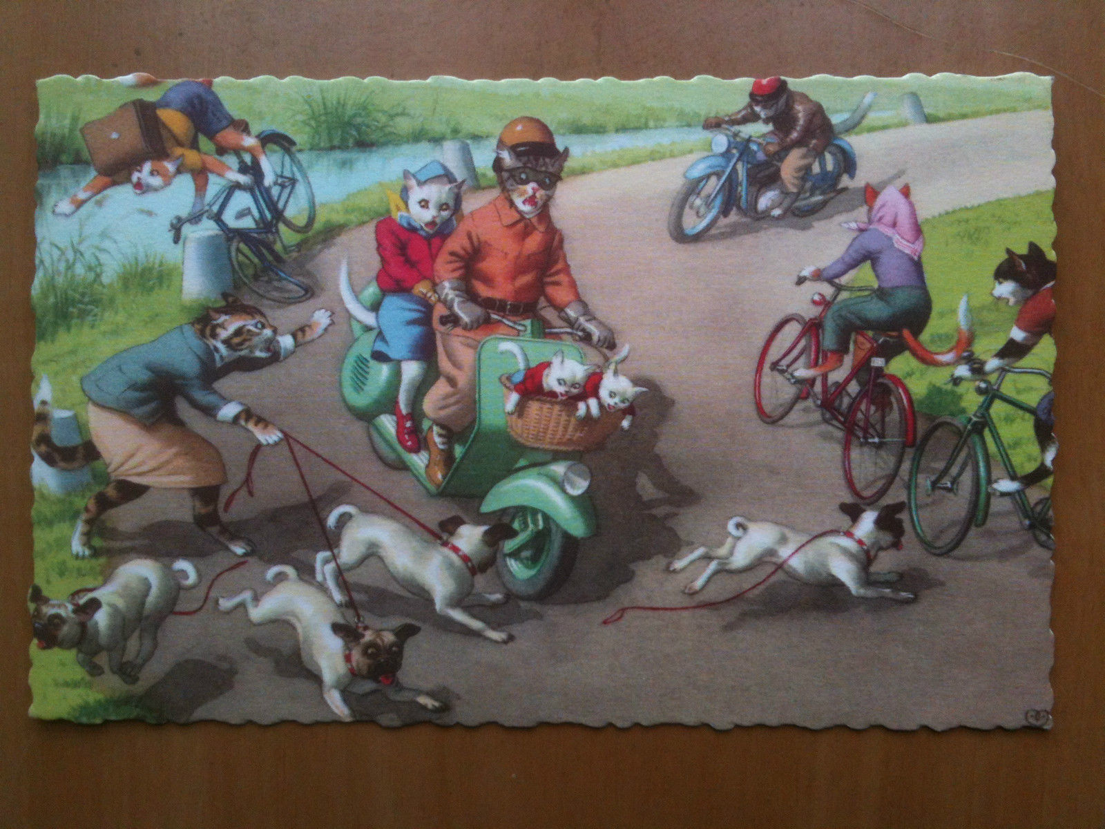 Cartolina illustrata metà '900 gatti antropomorfi - non viaggiata