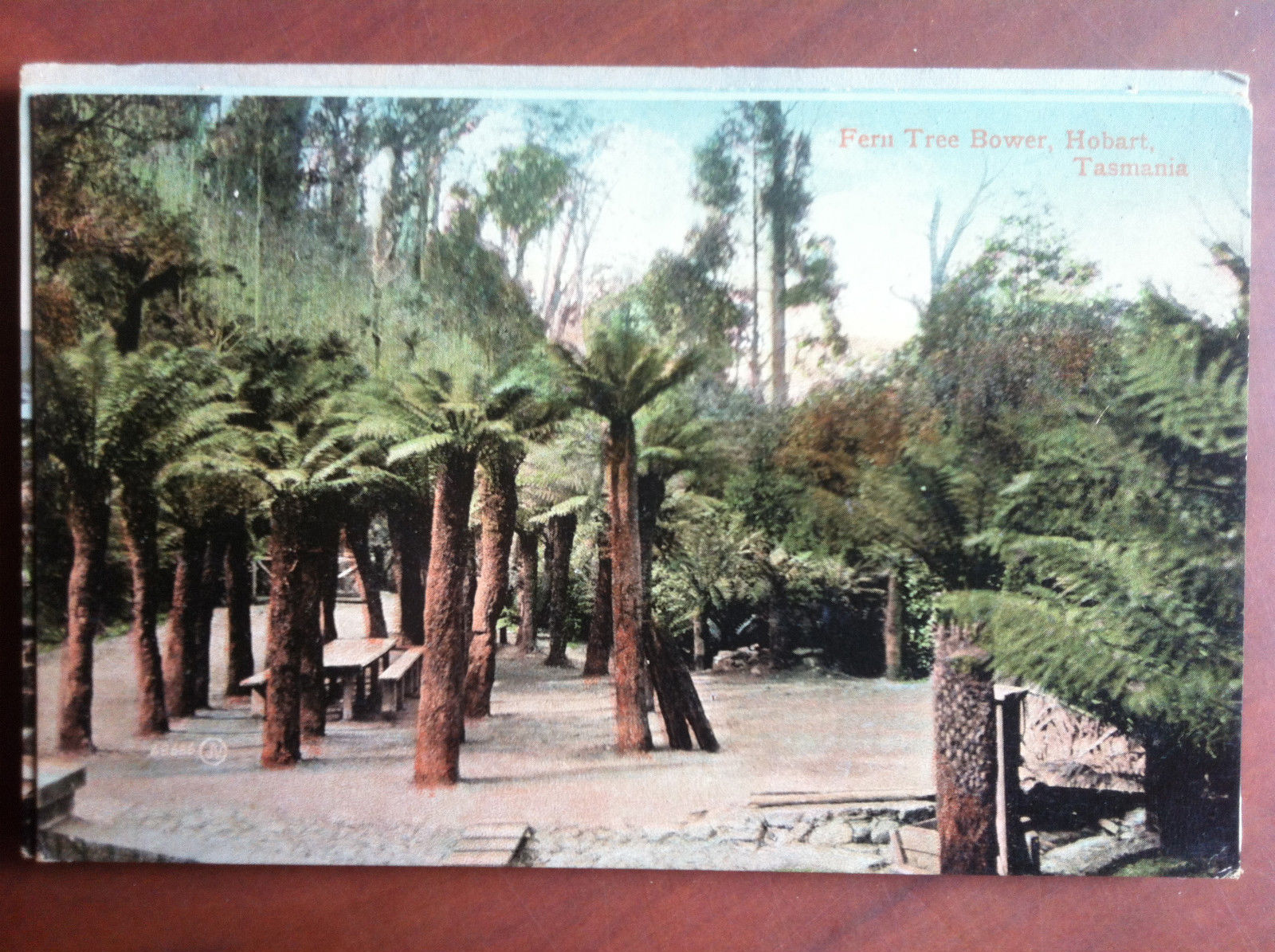 Cartolina inizi '900 Australia Hobart Tasmania non viaggiata - E12905