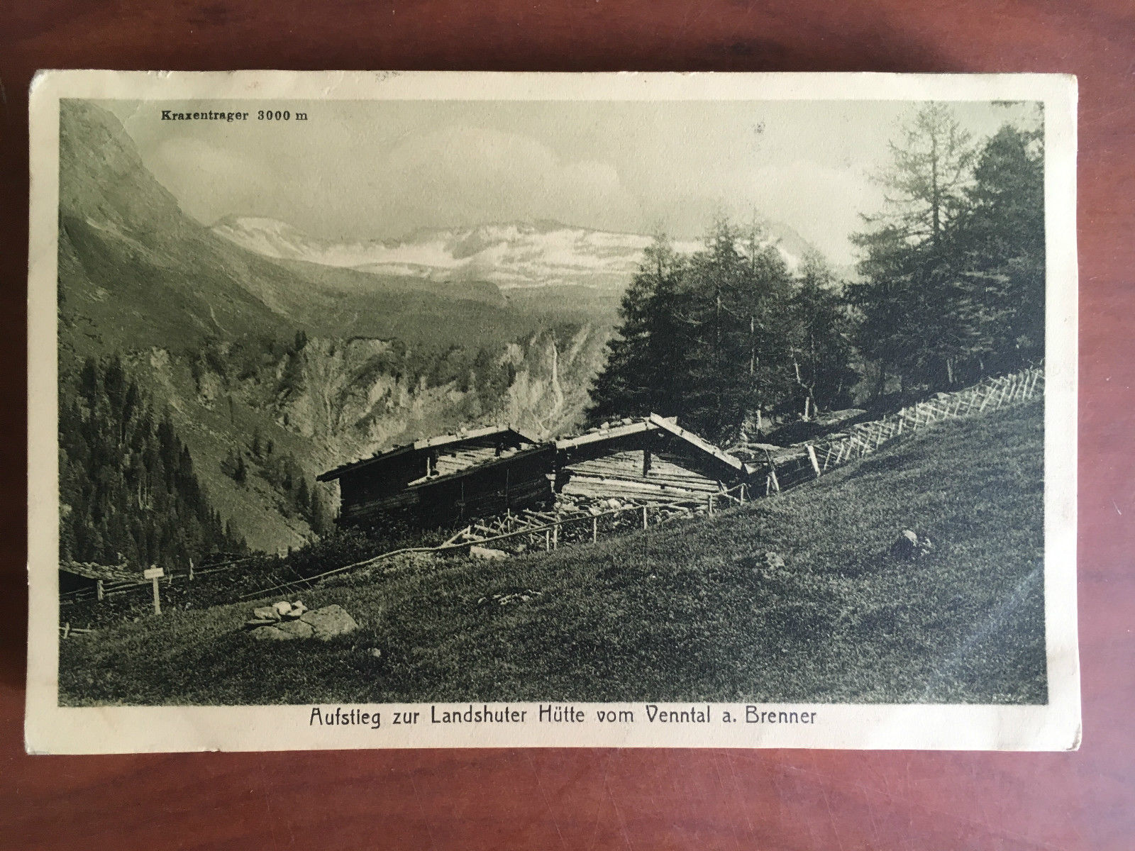 Cartolina inizi '900 Austria Centralkamm Zillerthaler Alpen Hochfeiler - E20752