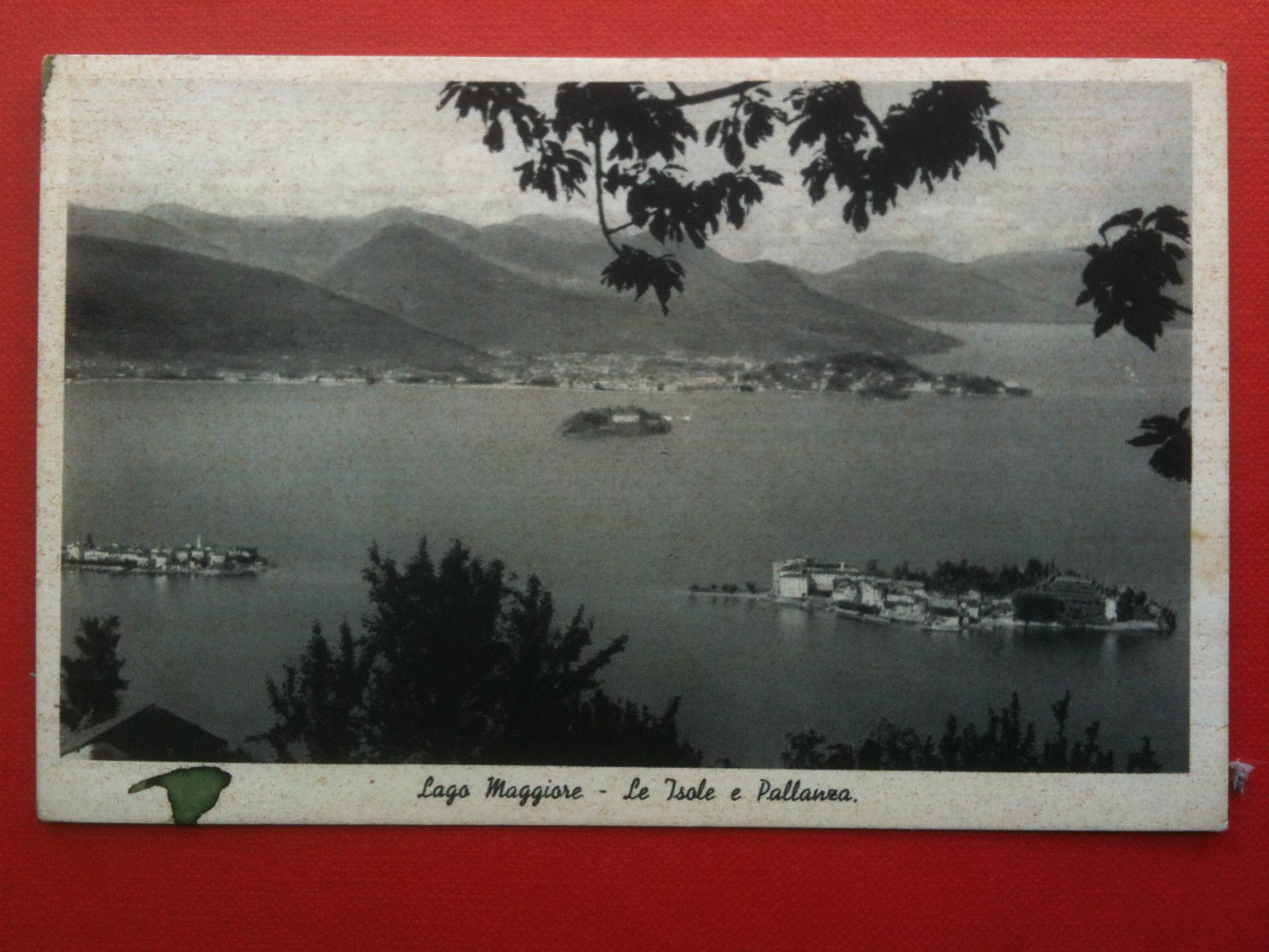 Cartolina inizi '900 Lago Maggiore Le isole e Pallanza - …