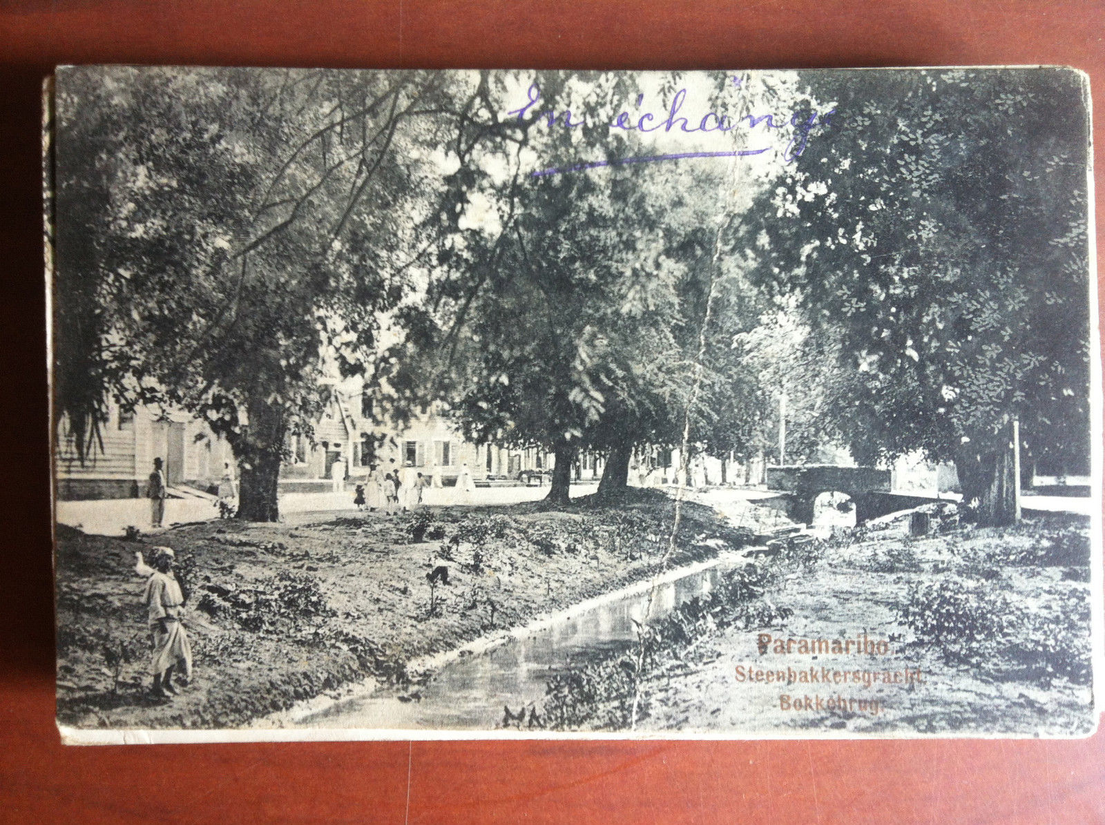Cartolina inizi '900 Suryname Paramaribo viaggiata - E12893