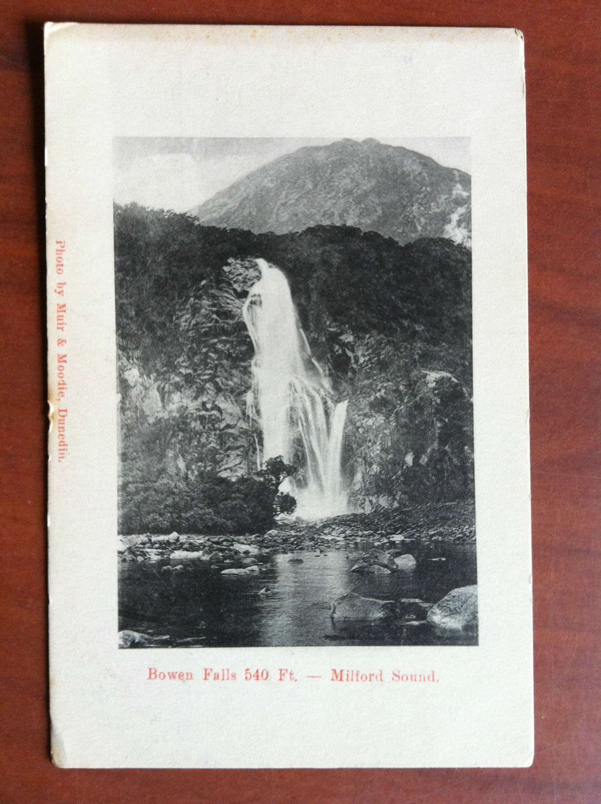 Cartolina Postcard early '900 New Zealand Milford - non viaggiata …