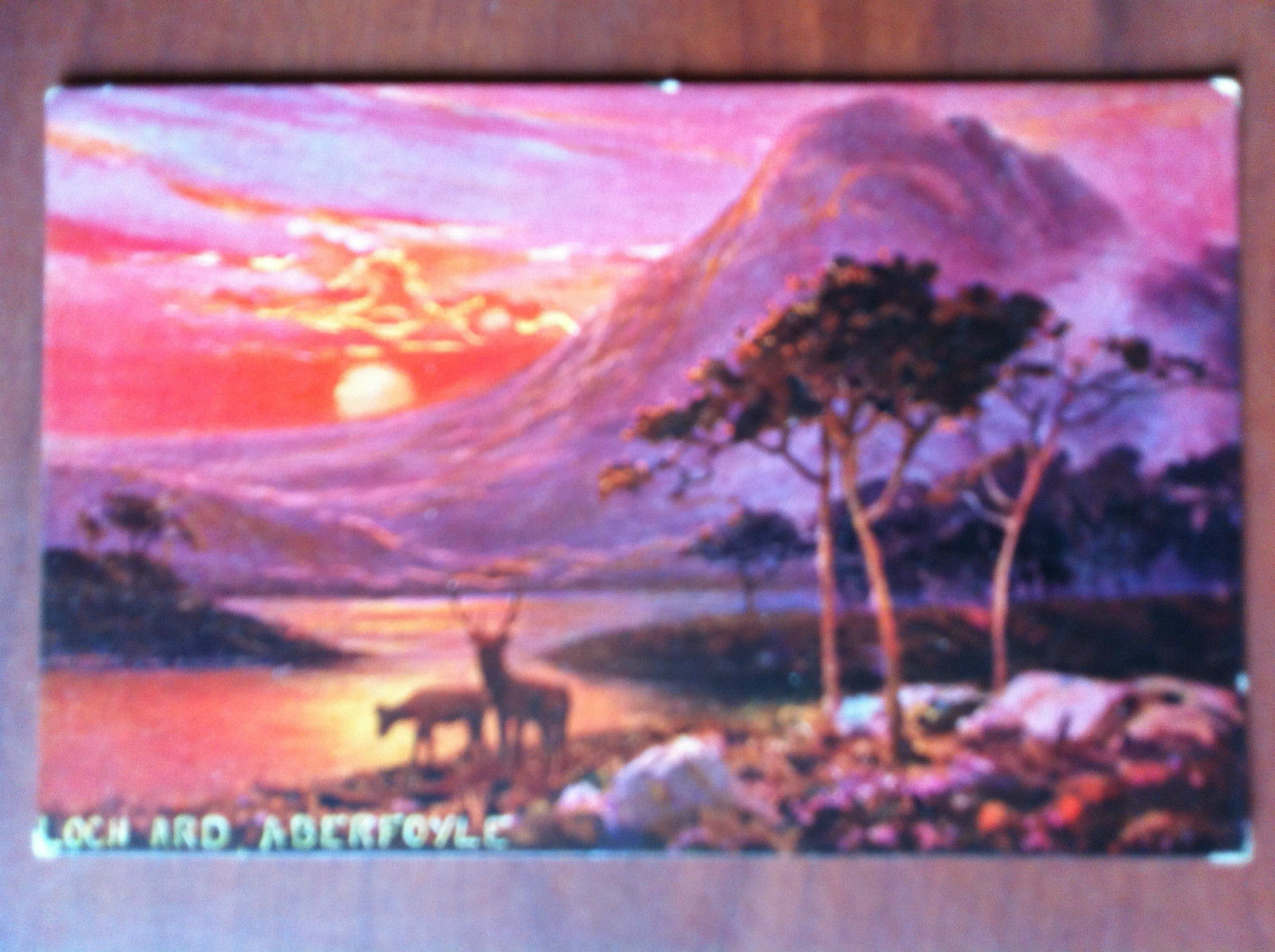 Cartolina Postcard early '900 UK Aberfoyle - non viaggiata - …