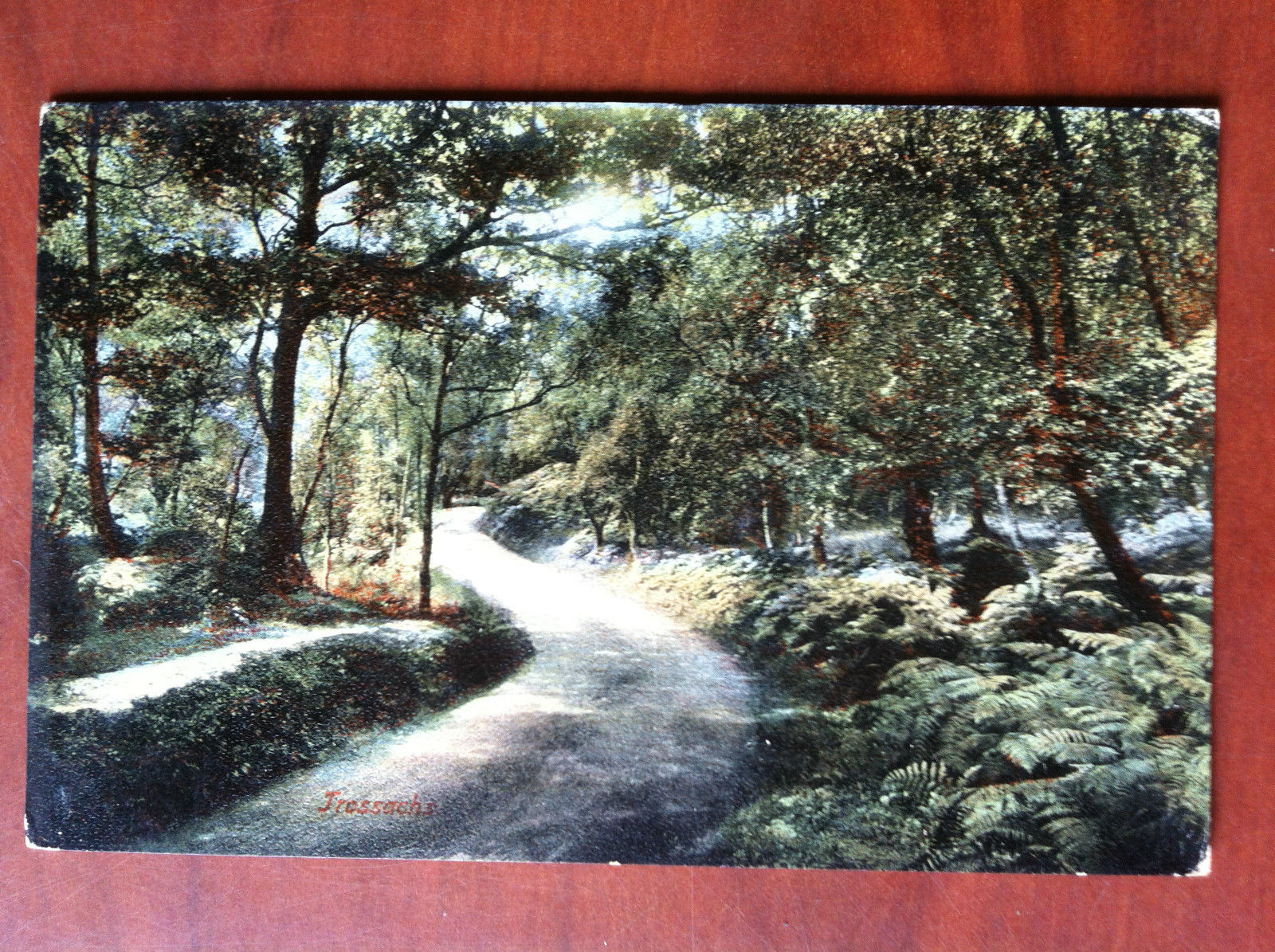 Cartolina Postcard early '900 UK Fressachs - non viaggiata - …