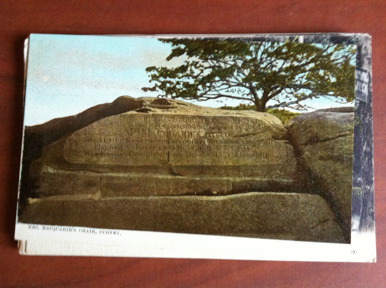 Cartolina Postcard inizi '900 Australia Sydney - non viaggiata - …