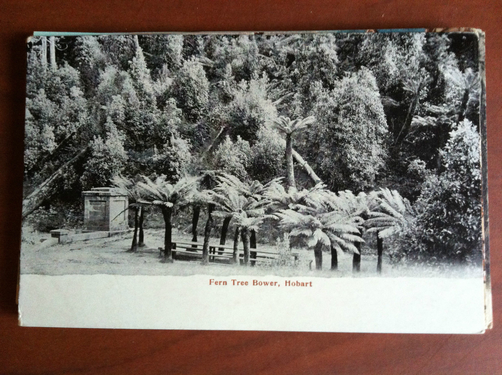Cartolina Postcard inizi '900 Australia Tasmania Hobart - non viaggiata …