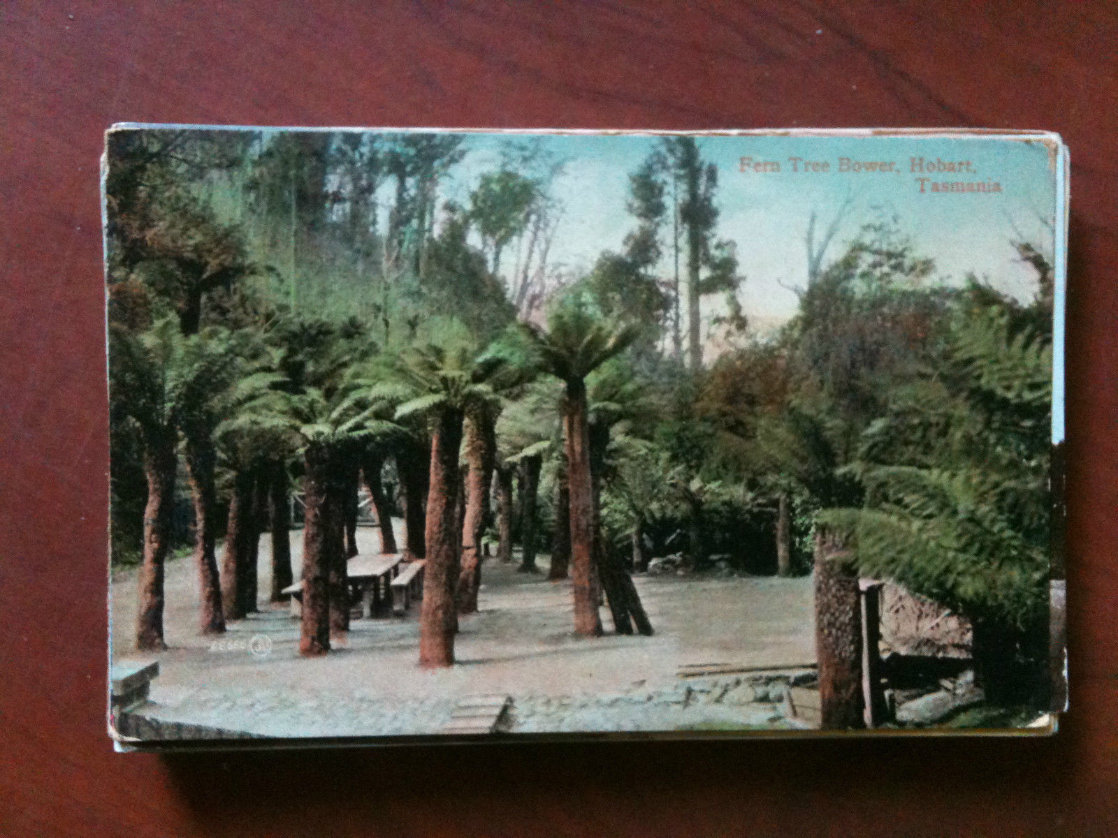 Cartolina Postcard inizi '900 Australia Tasmania Hobart - non viaggiata