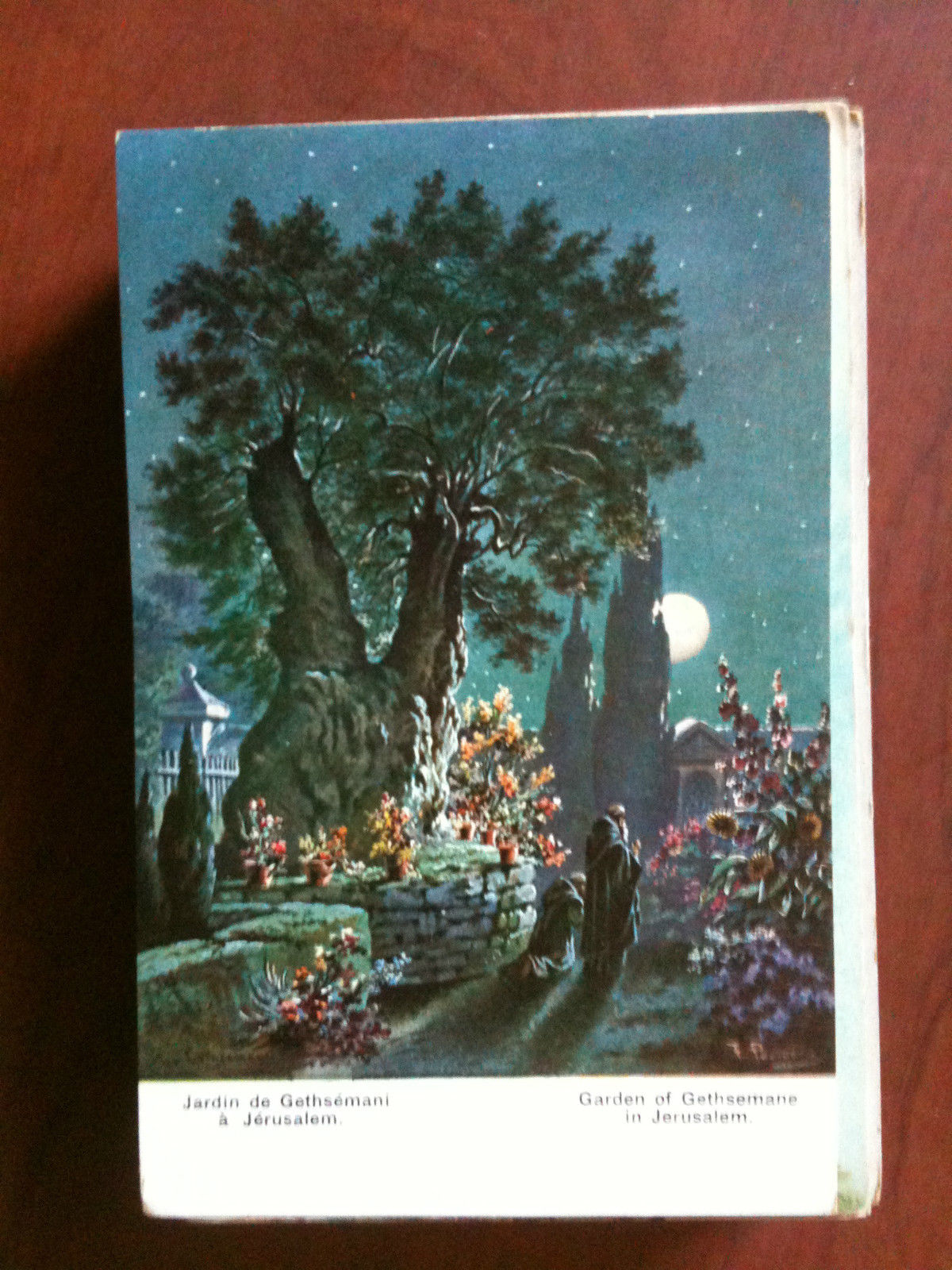 Cartolina Postcard inizi '900 Garden of Gethsemane in Jerusalem- non …