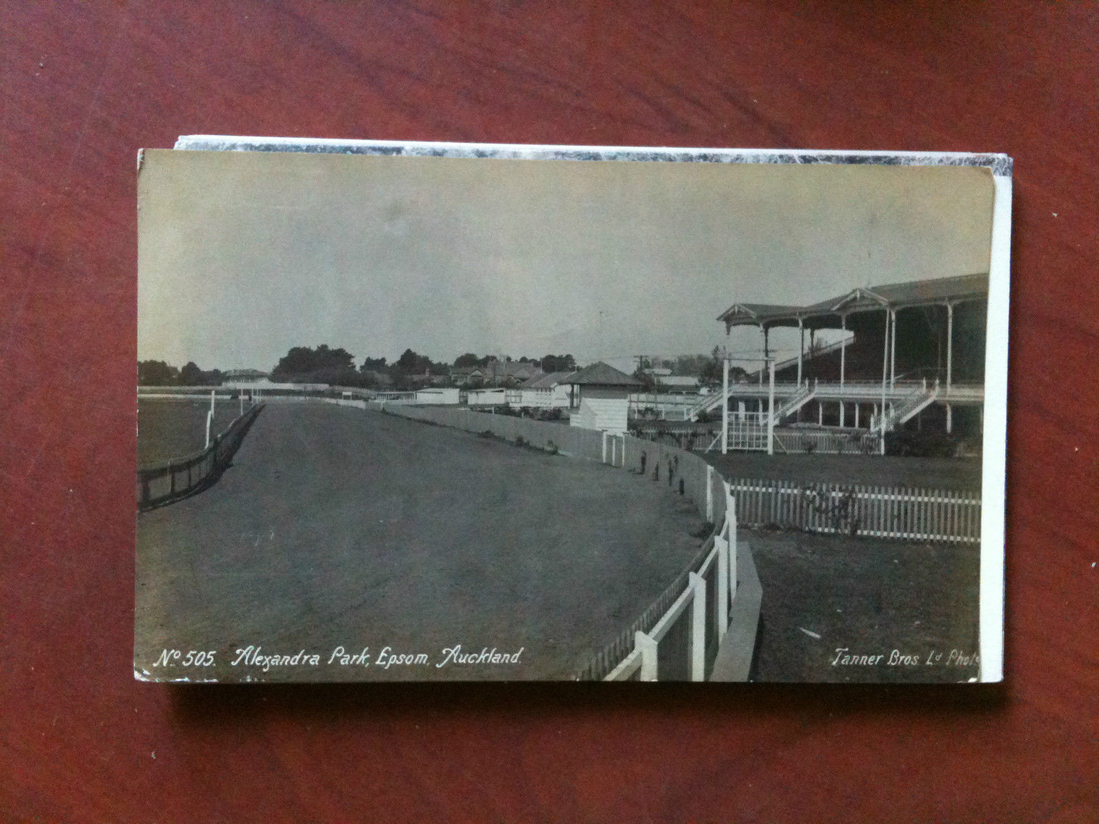 Cartolina Postcard inizi '900 New Zealand Auckland Alexandra Park- non …