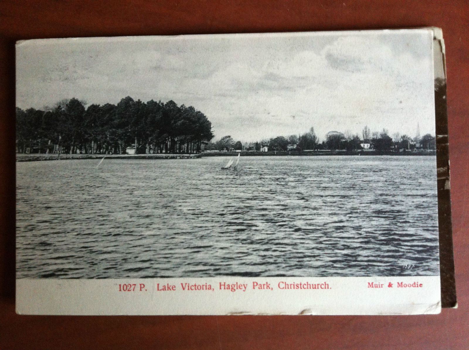 Cartolina Postcard inizi '900 New Zealand Christchurch - non viaggiata …
