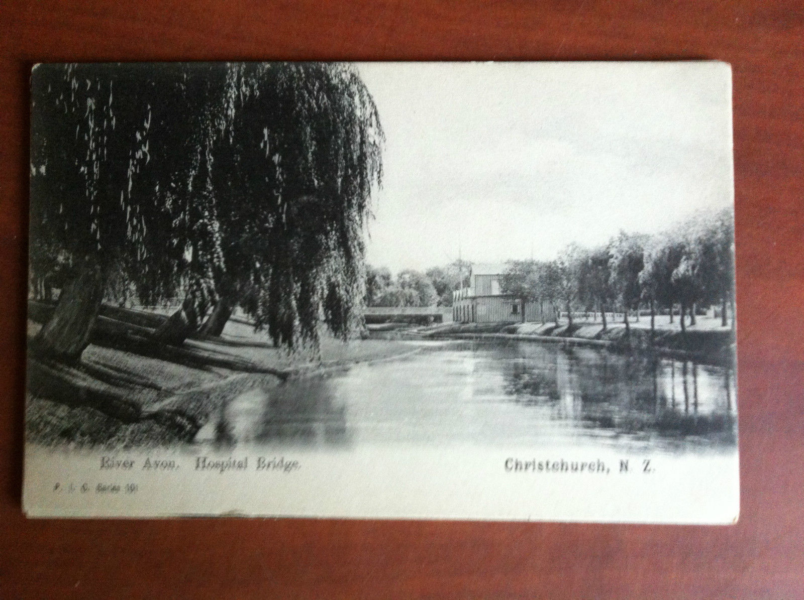 Cartolina Postcard inizi '900 New Zealand Christchurch - non viaggiata …