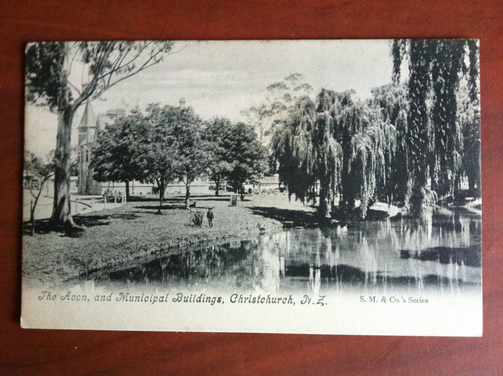 Cartolina Postcard inizi '900 New Zealand Christchurch - non viaggiata …