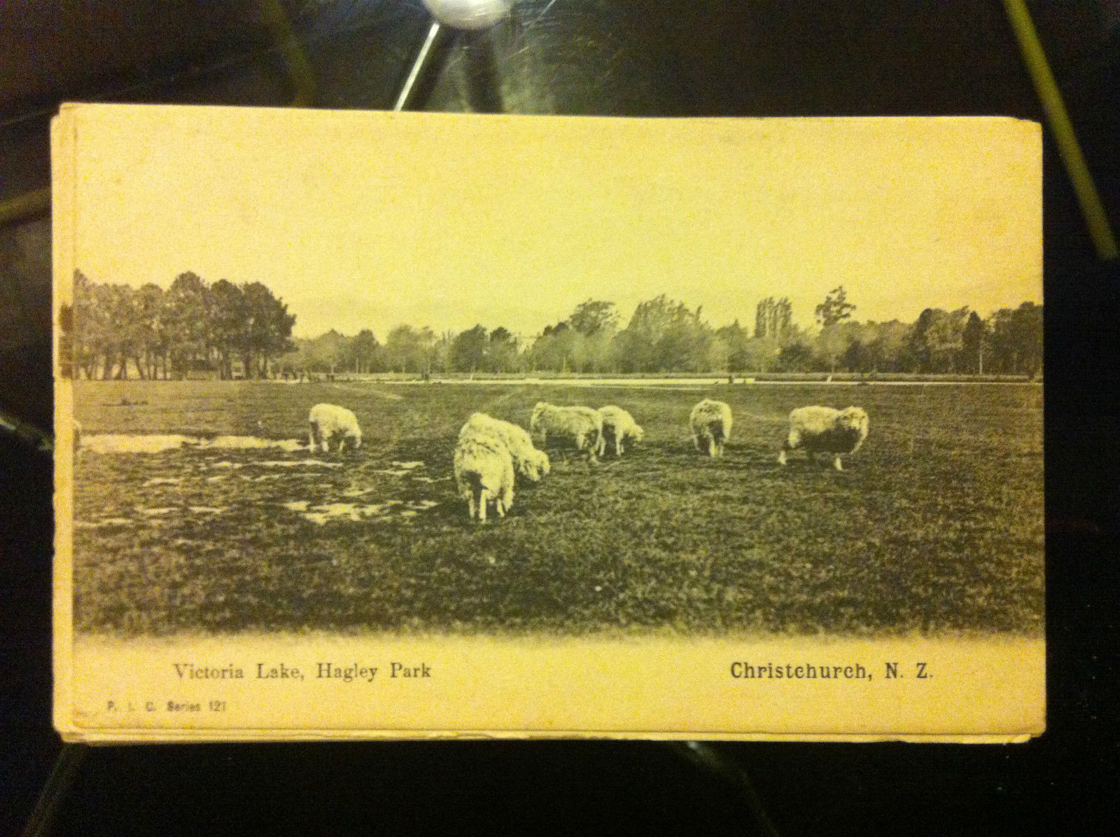 Cartolina Postcard inizi '900 New Zealand Christchurch - non viaggiata …