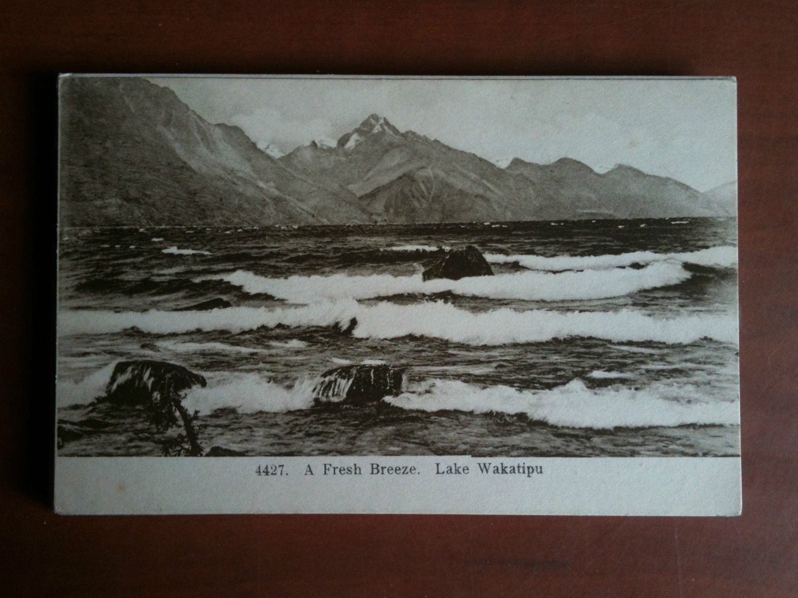 Cartolina Postcard inizi '900 New Zealand Lake Wakatipu- non viaggiata