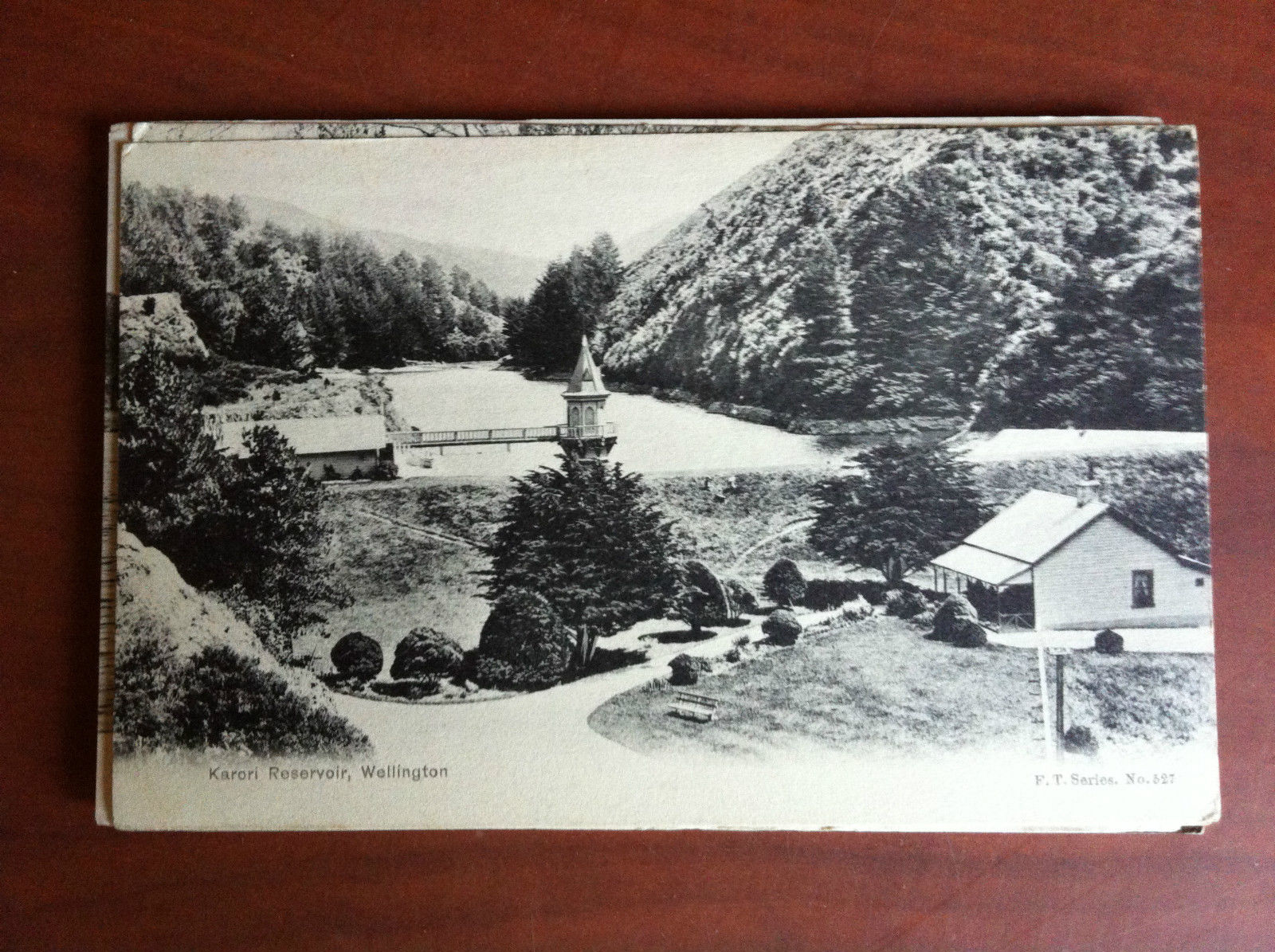 Cartolina Postcard inizi '900 New Zealand Wellington - non viaggiata …