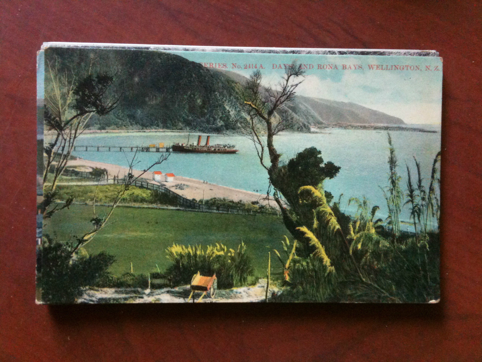 Cartolina Postcard inizi '900 New Zealand Wellington - non viaggiata