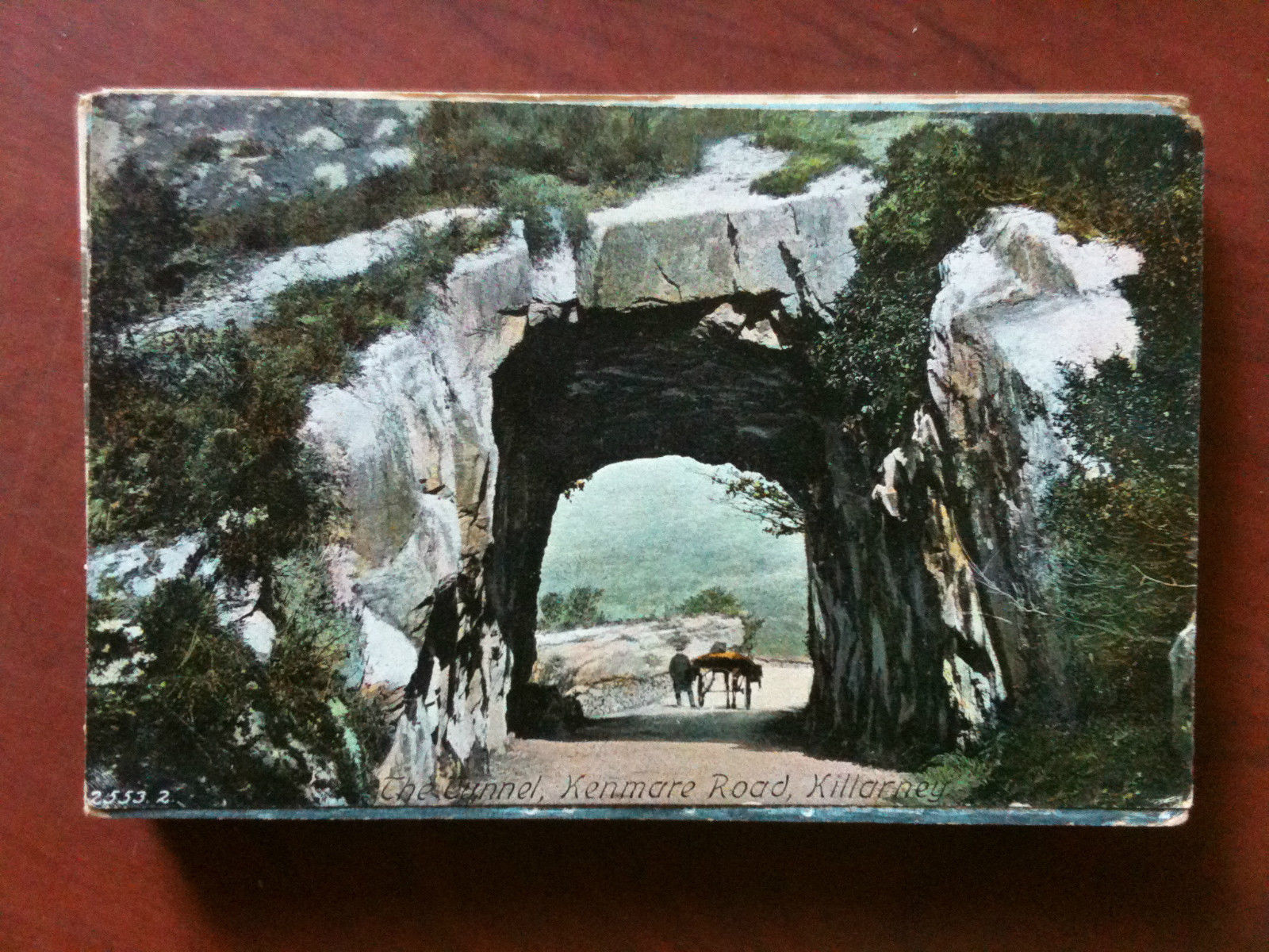 Cartolina Postcard inizi '900 UK Ireland Killarney Kenmare Road - …