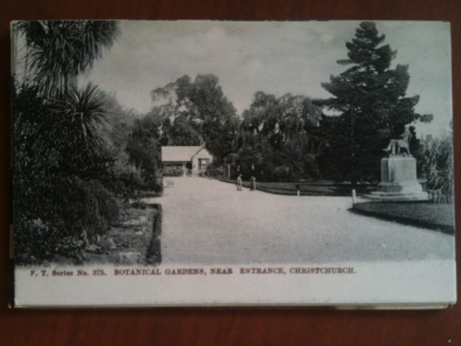 Cartolina Postcard inizi/early '900 New Zealand Gardens - non viaggiata …