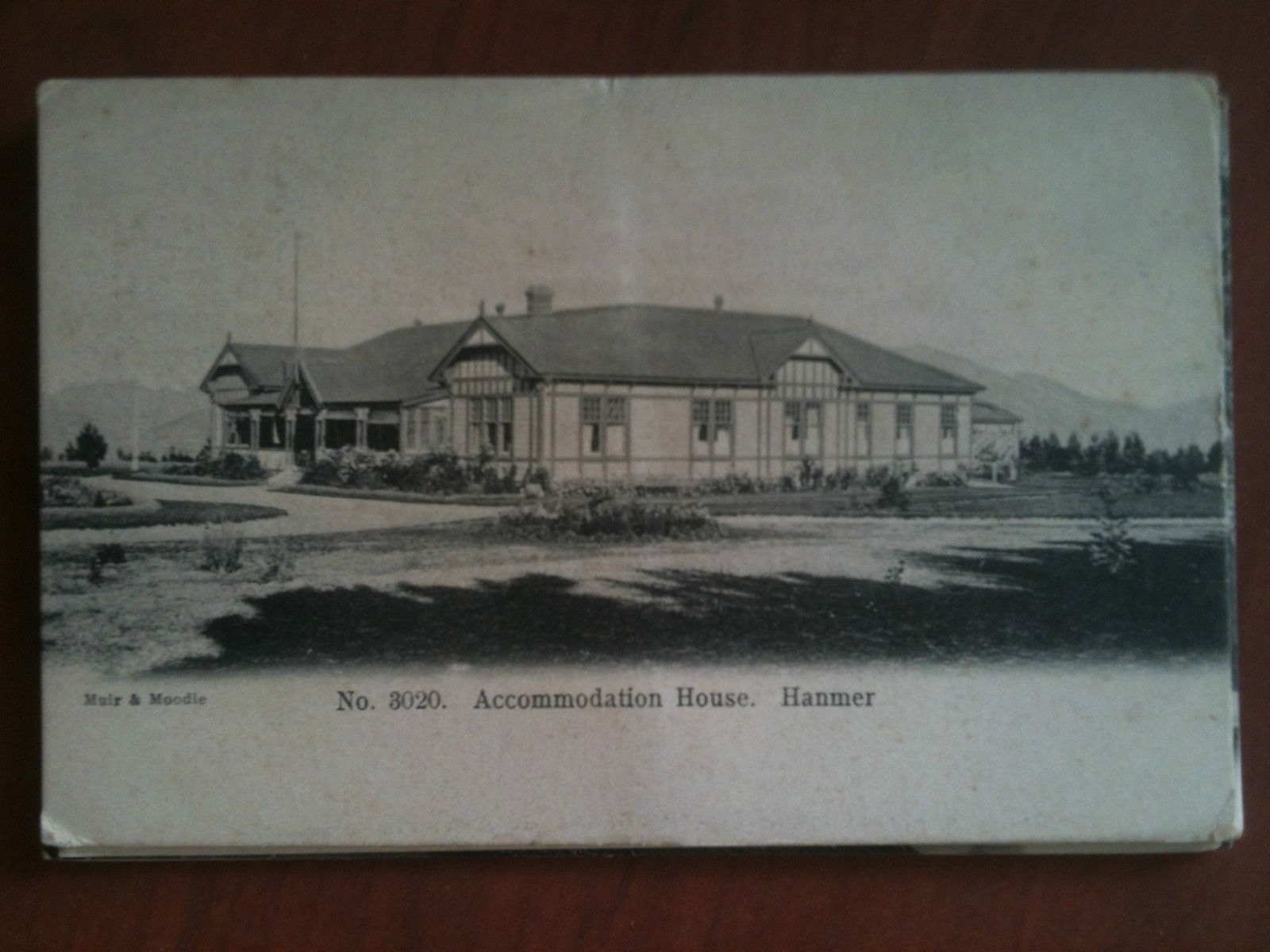 Cartolina Postcard inizi/early '900 New Zealand Hanmer - non viaggiata …