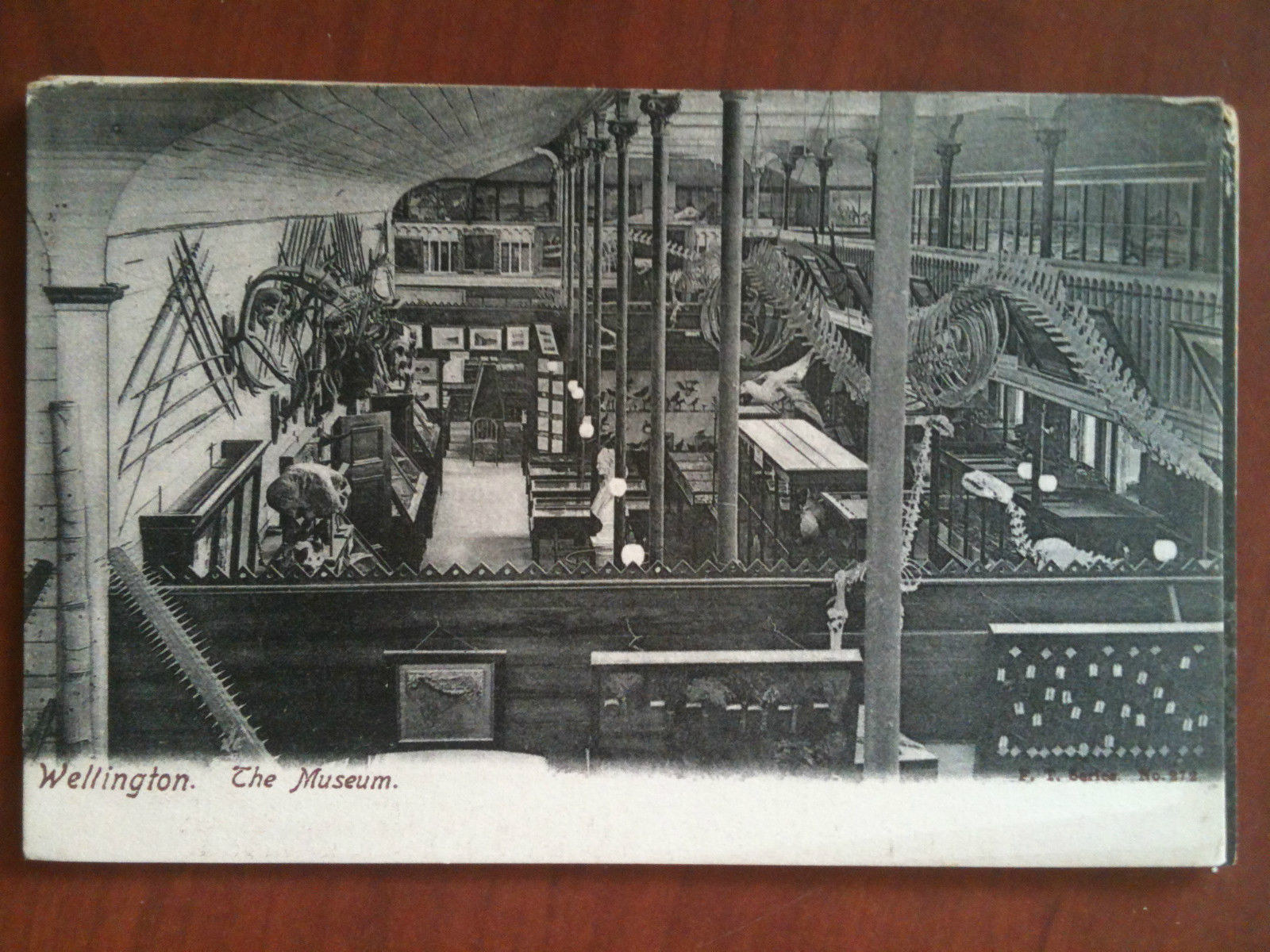 Cartolina Postcard inizi/early '900 New Zealand Wellington non viaggiata - …