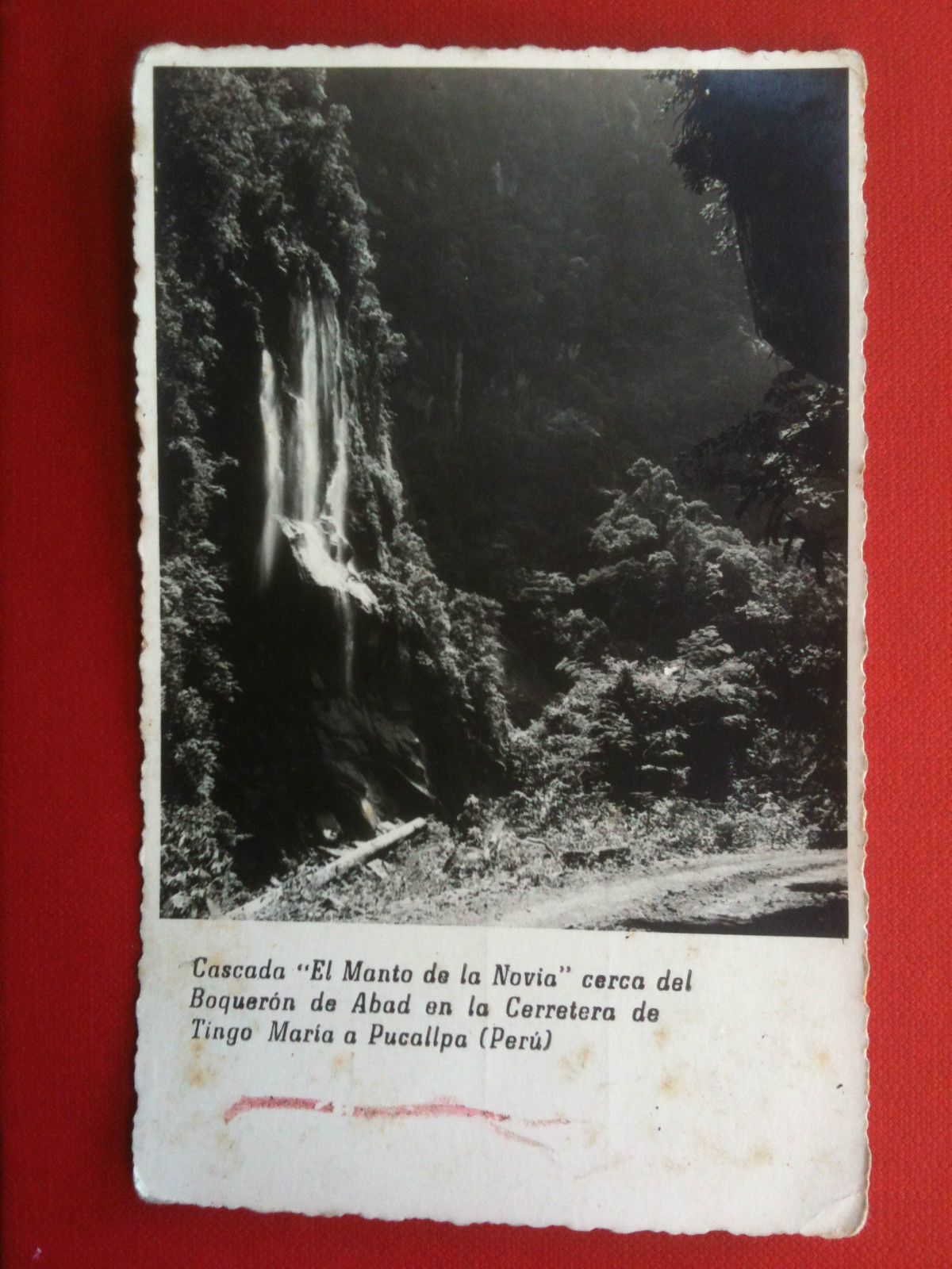Cartolina/Tarjeta foto vera metà '900 Udo Schack Perù Cascada non …