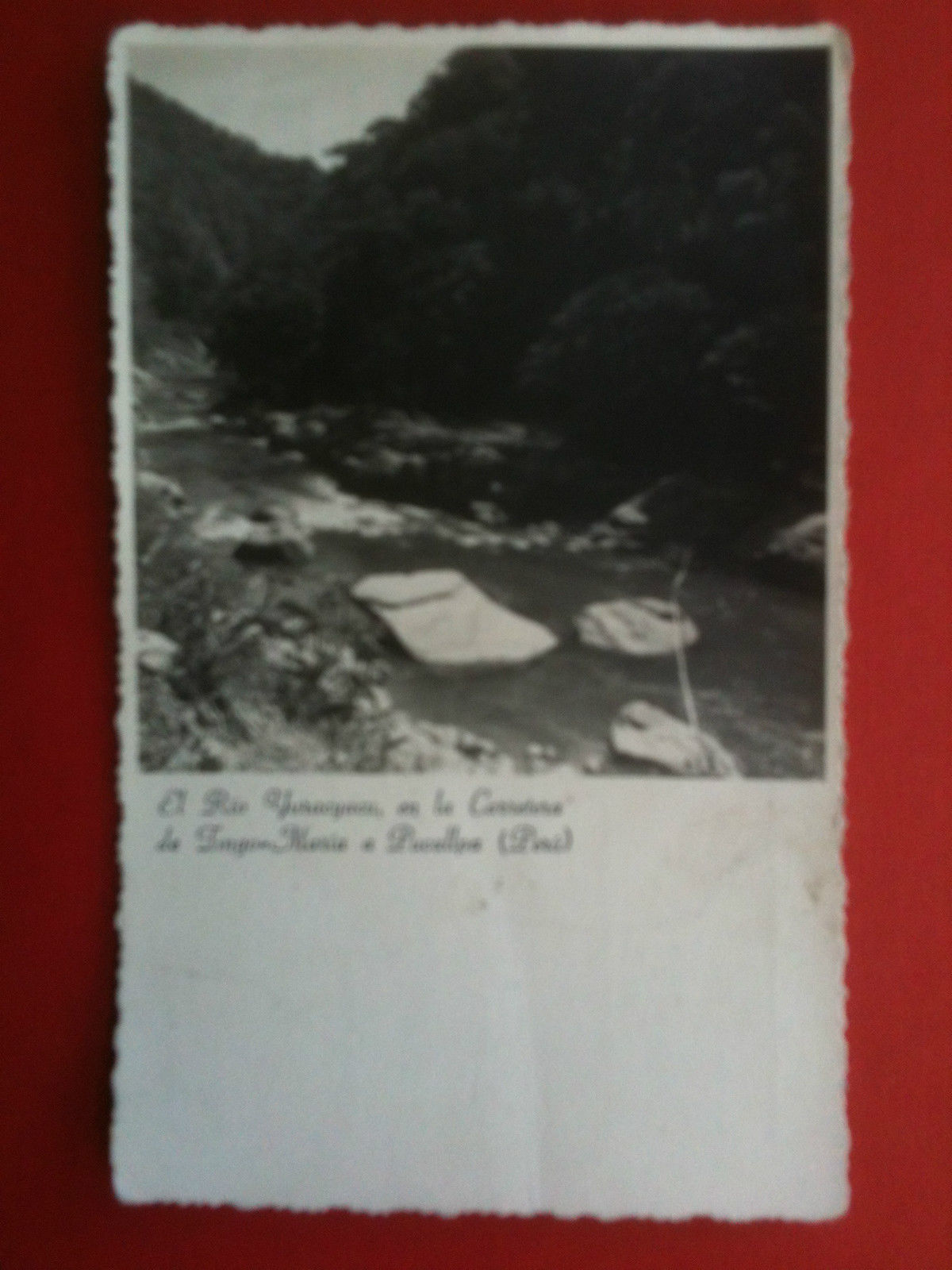 Cartolina/Tarjeta foto vera metà '900 Udo Schack Perù Yuracyacu non …
