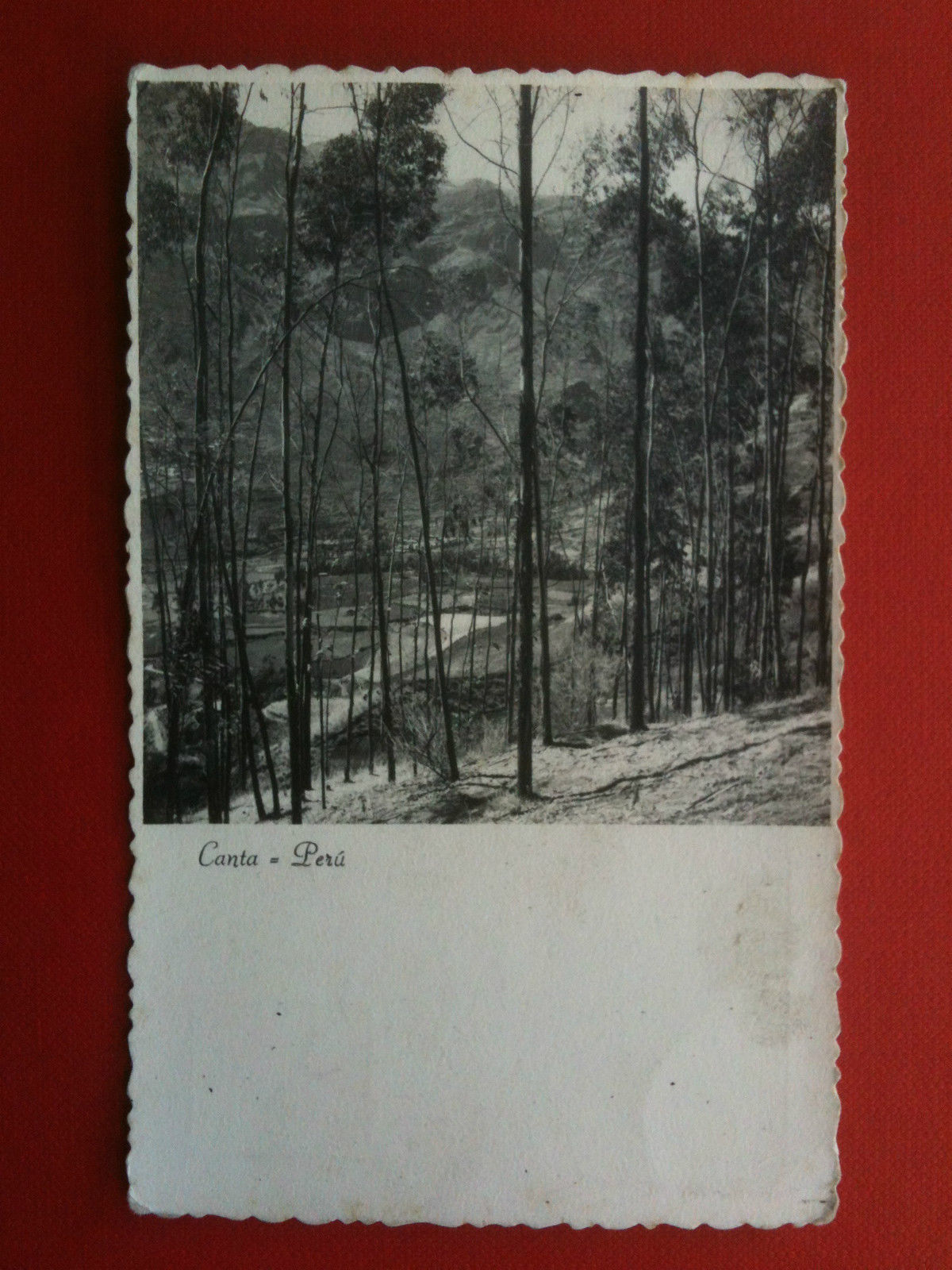 Cartolina Tarjeta fotografia vera metà '900 Udo Schack Perù Canta …