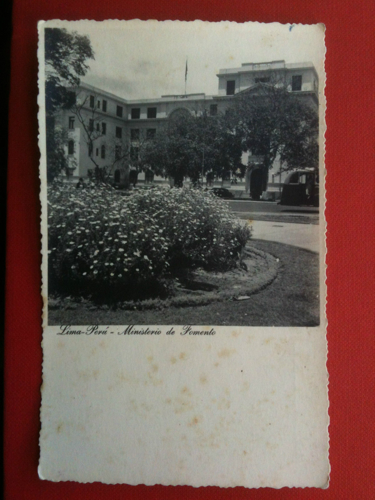 Cartolina Tarjeta fotografia vera metà '900 Udo Schack Perù Lima …