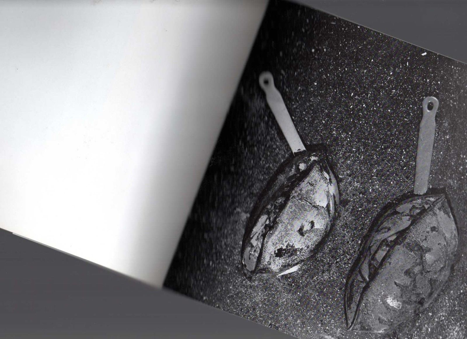 Catalogo d'Arte Cesar galleria Fauno due Torino 1974