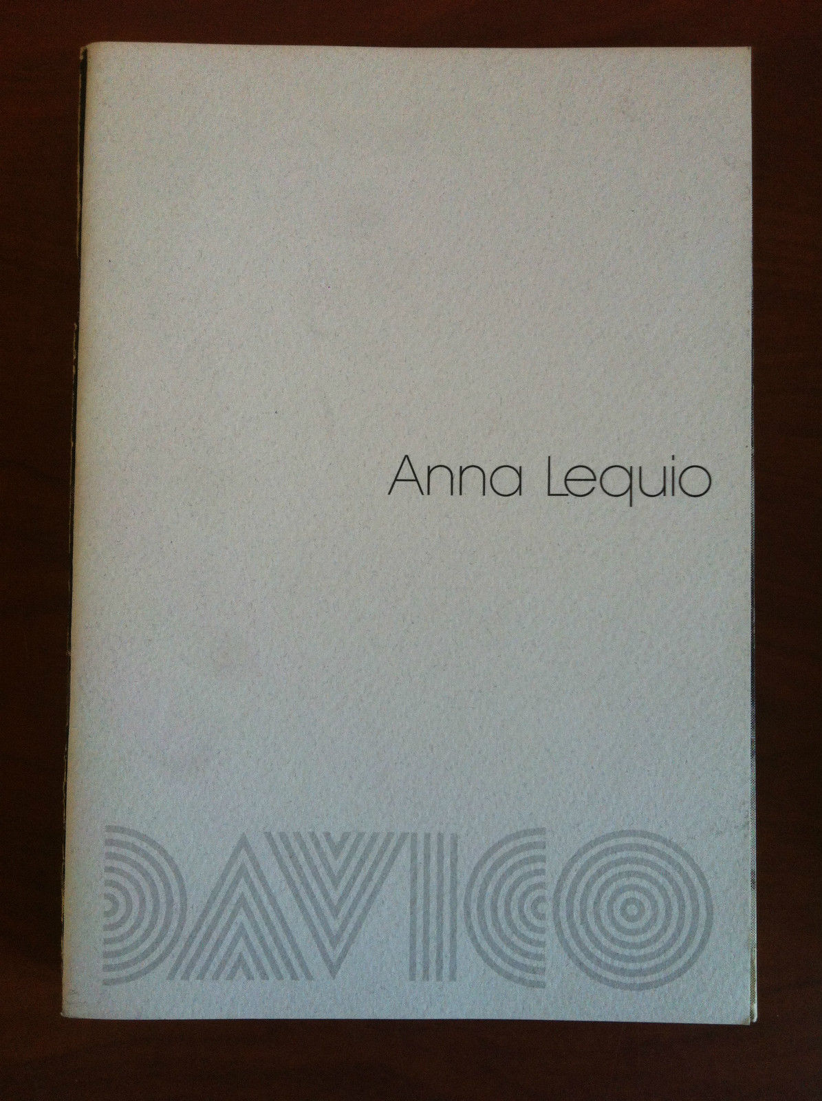 Catalogo della mostra di Anna Lequio Galleria Davico Torino 1992 …