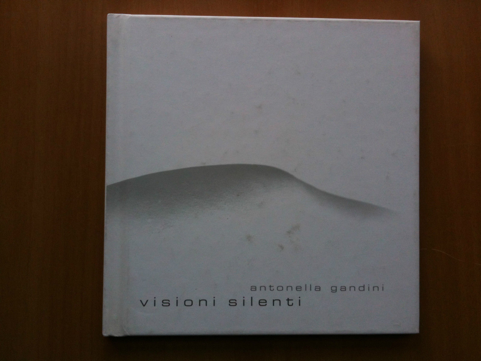 Catalogo della mostra di Antonella Gandini "Visioni silenti" Garda 2005