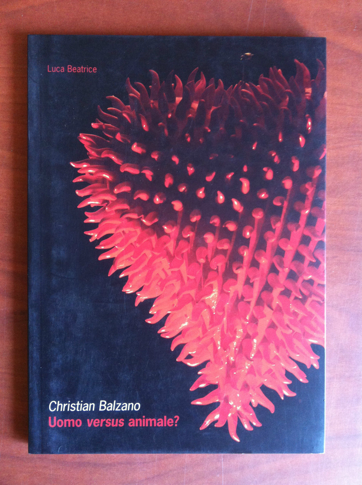 Catalogo della mostra di Christian Balzano L.u.C.C.A. Lucca 2009/10 - …