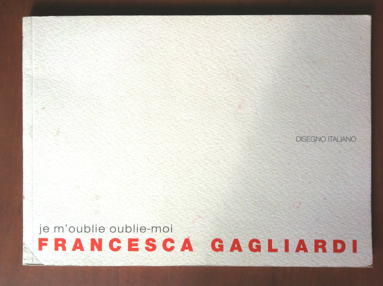 Catalogo della Mostra di Francesca Gagliardi Galleria 41 Torino 2007