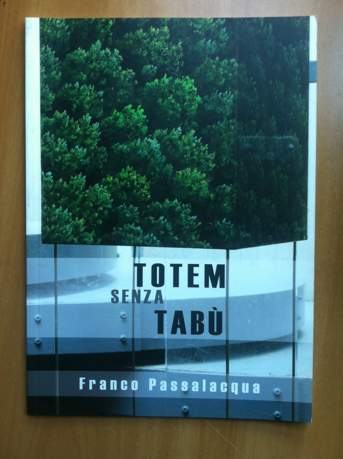 Catalogo della mostra di Franco Passalacqua Pal della Penna Perugia …
