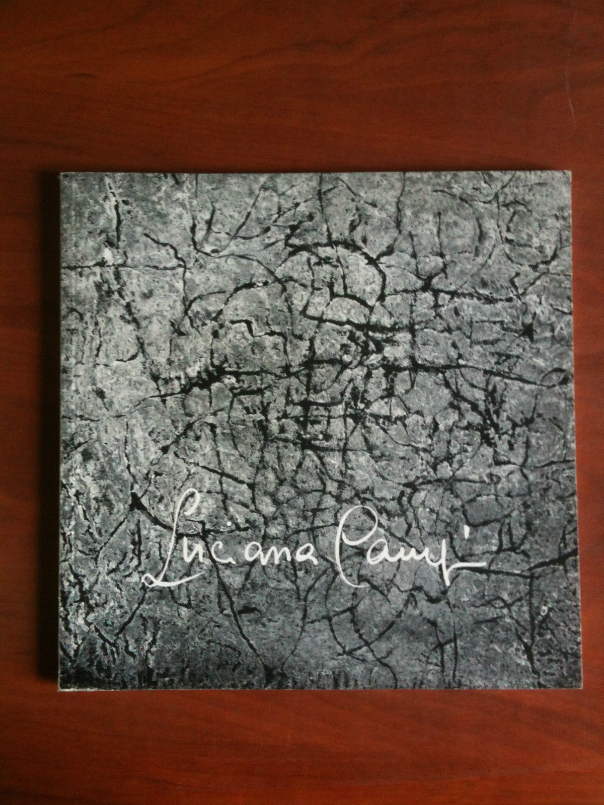 Catalogo della mostra di Luciana Campi opere dal 1950 al …