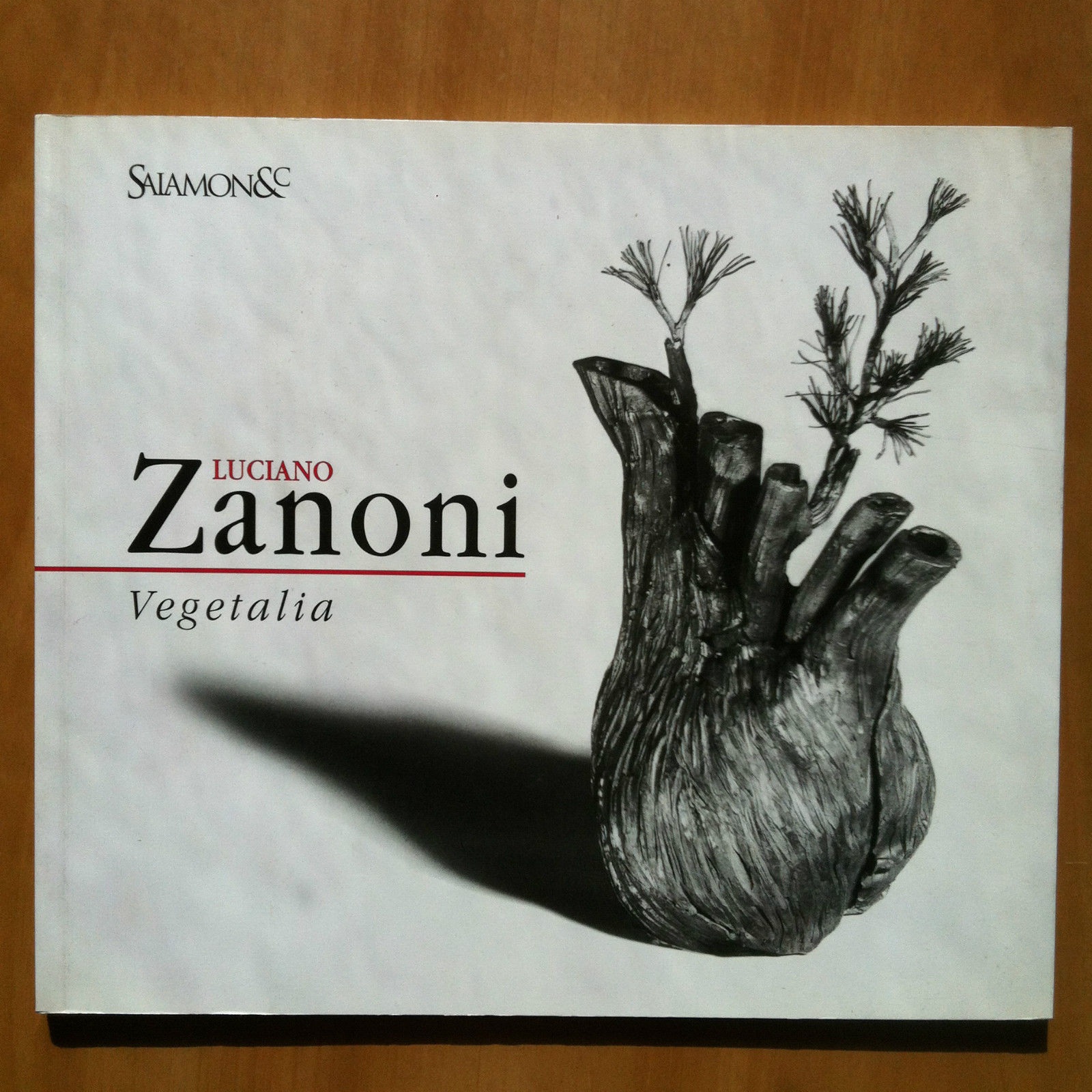 Catalogo della Mostra di Luciano Zanoni Gal Salamon Milano 2005 …
