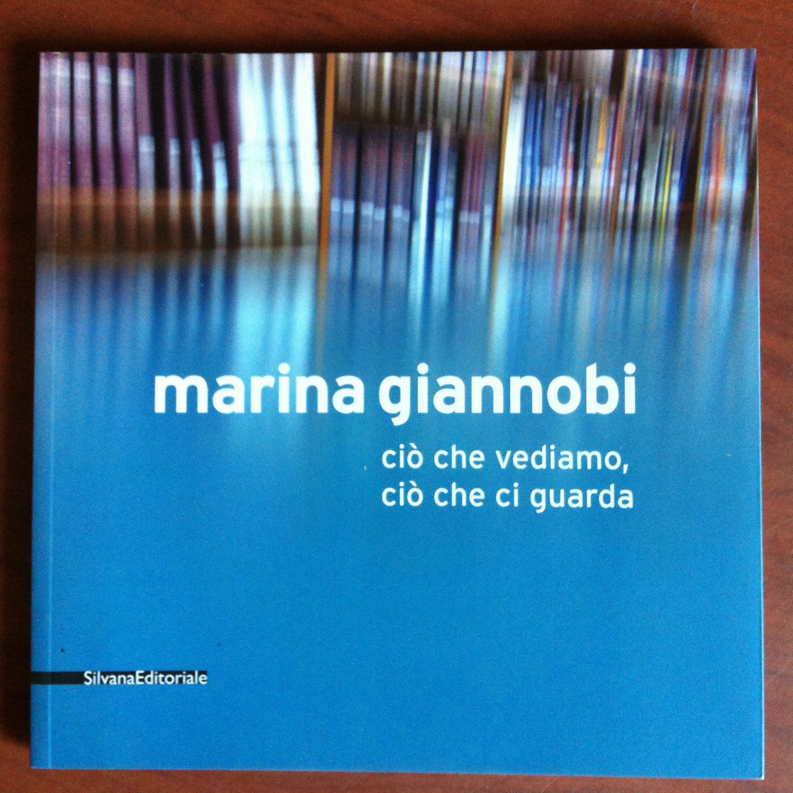 Catalogo della mostra di Marina Giannobi Galleria Lietti Como 2010 …