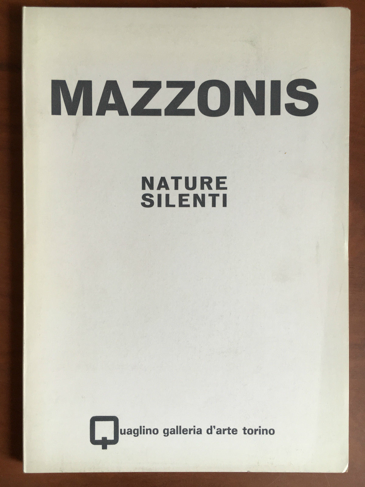 Catalogo della mostra di Mazzonis Nature silenti Gall. Quaglino Torino …