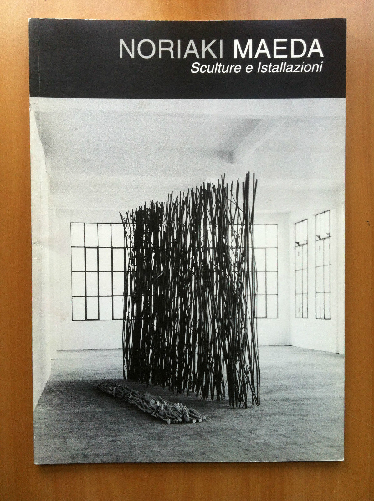 Catalogo della mostra di Noriaki Maeda ex Lanificio Bona Carignano …