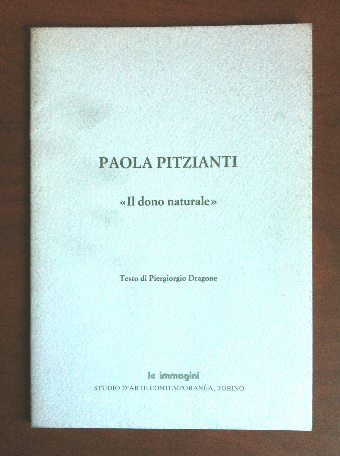 Catalogo della mostra di Paola Pitzianti Gal Le Immagini Torino …