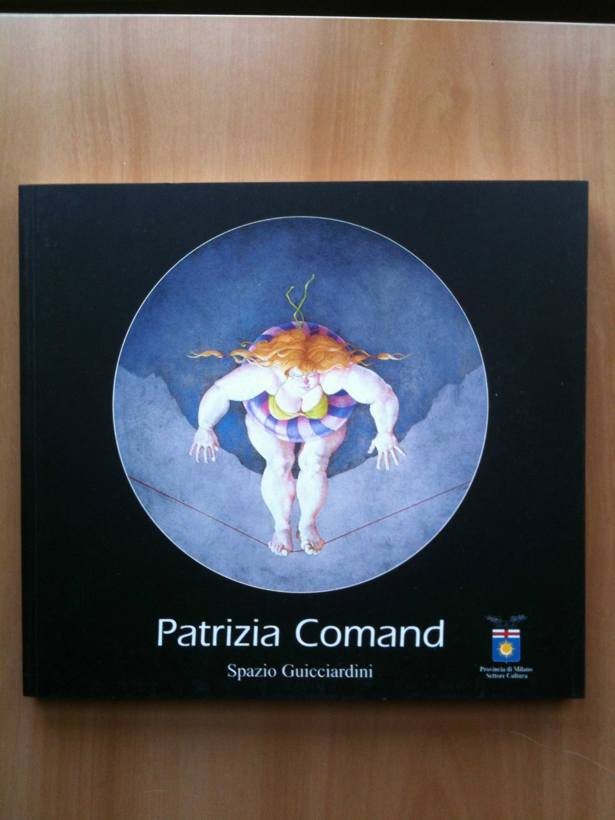 Catalogo della mostra di Patrizia Comand Spazio Gucciardini 2001