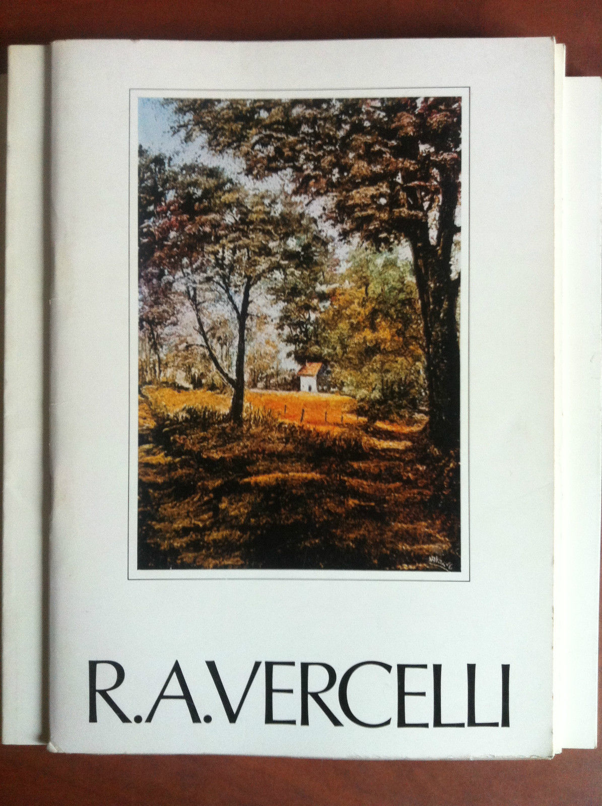 Catalogo della mostra di R.A. Vercelli Palazzo Graneri Torino 1977 …