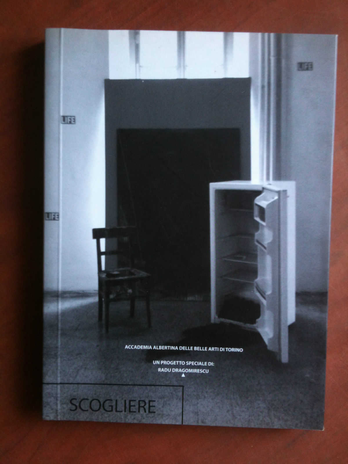 Catalogo della mostra di Radu Dragomirescu "Scogliere" Torino 2010