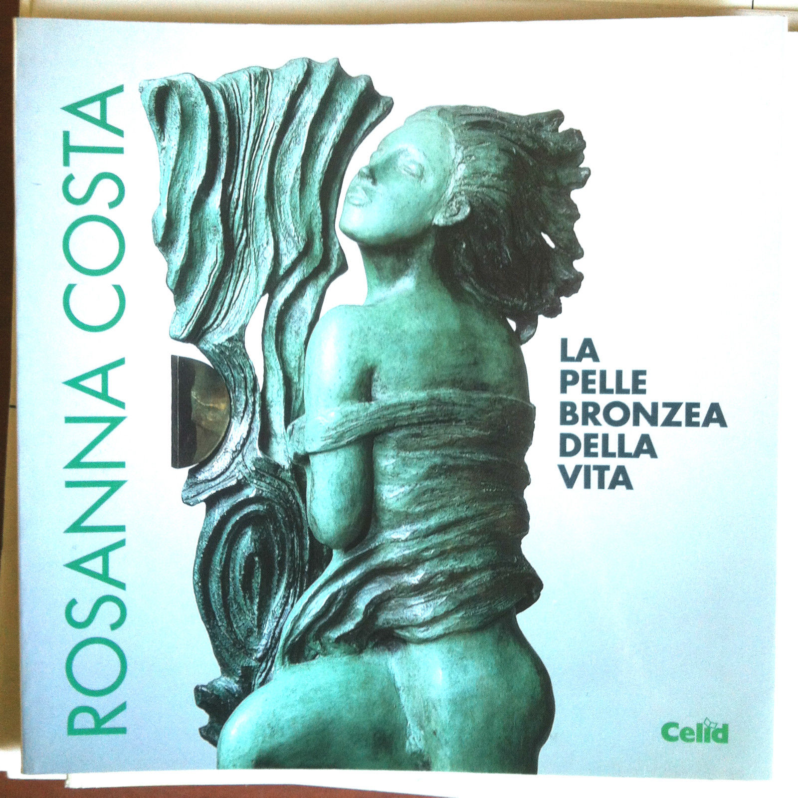 Catalogo della mostra di Rosanna Costa Bibl. Arduino Moncalieri 1999 …