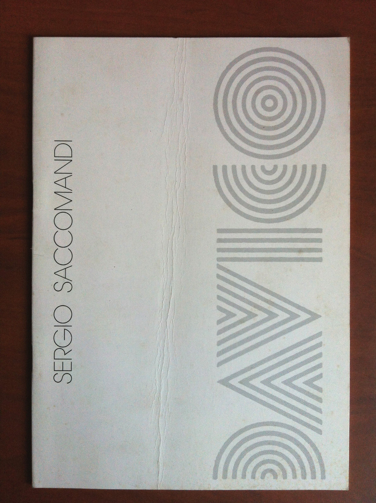 Catalogo della mostra di Sergio Saccomandi Galleria Davico Torino 1989 …