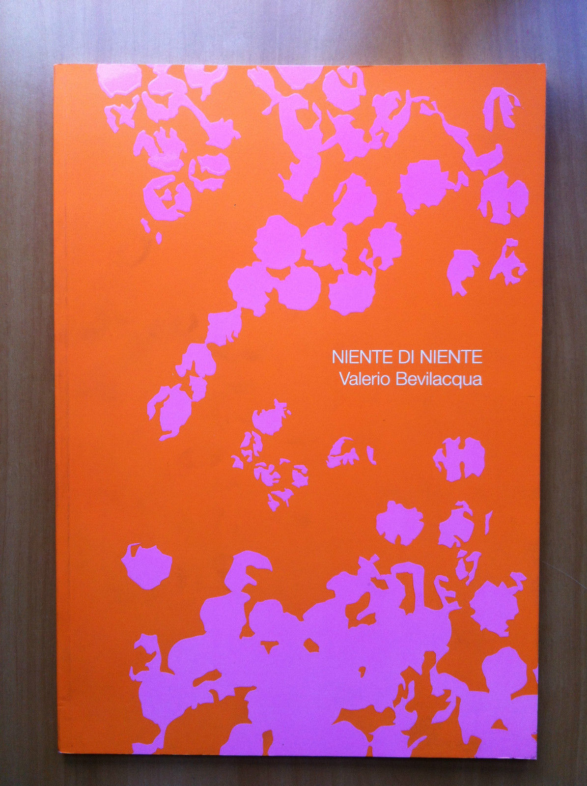 Catalogo della mostra di Valerio Bevilacqua Galleria Novalis Torino 2011 …