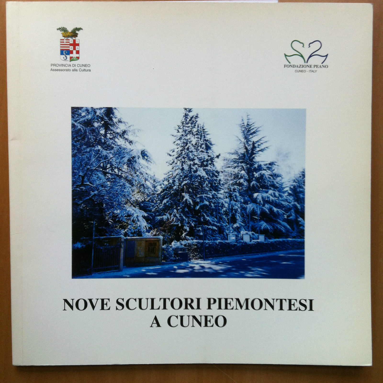 Catalogo della mostra Nove scultori piemontesi a Cuneo Fond. Peano …