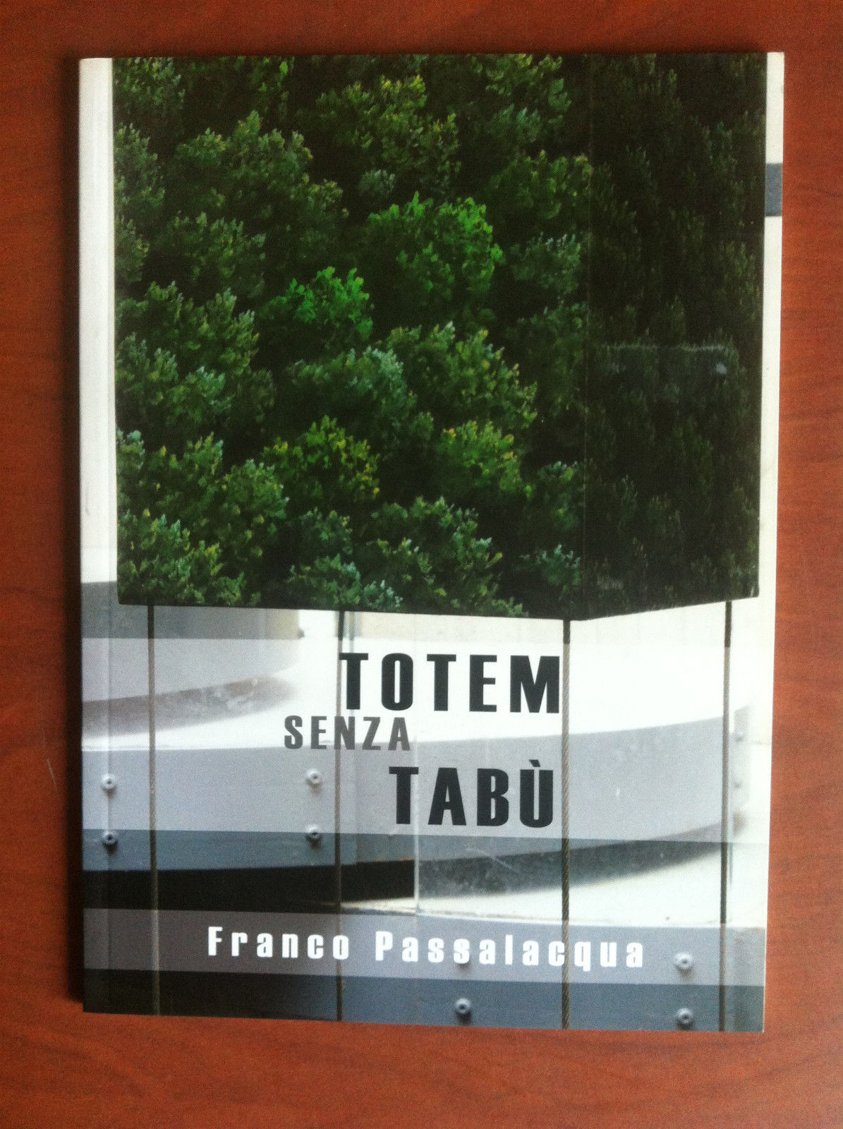 Catalogo della mostra Totem Senza Tabù Franco Passalacqua Perugia 2009 …